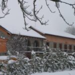 neve